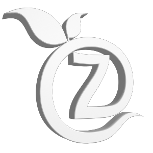 3d zetaorange logo